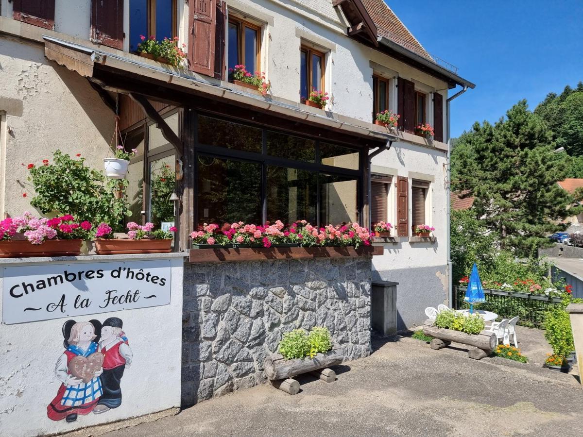 Chambres D'Hotes A La Fecht Nature Et Bien-Etre Sondernach Buitenkant foto