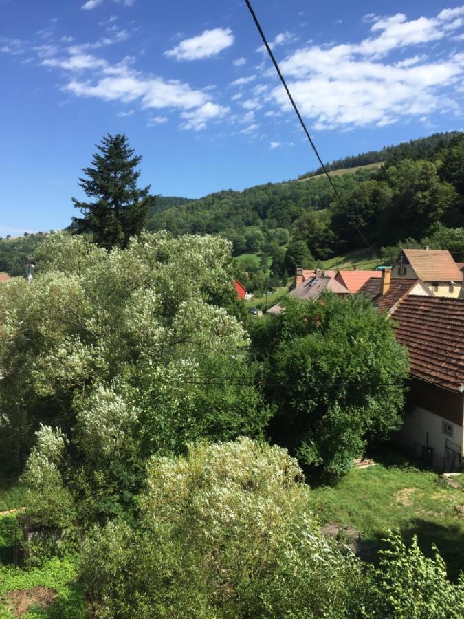 Chambres D'Hotes A La Fecht Nature Et Bien-Etre Sondernach Buitenkant foto