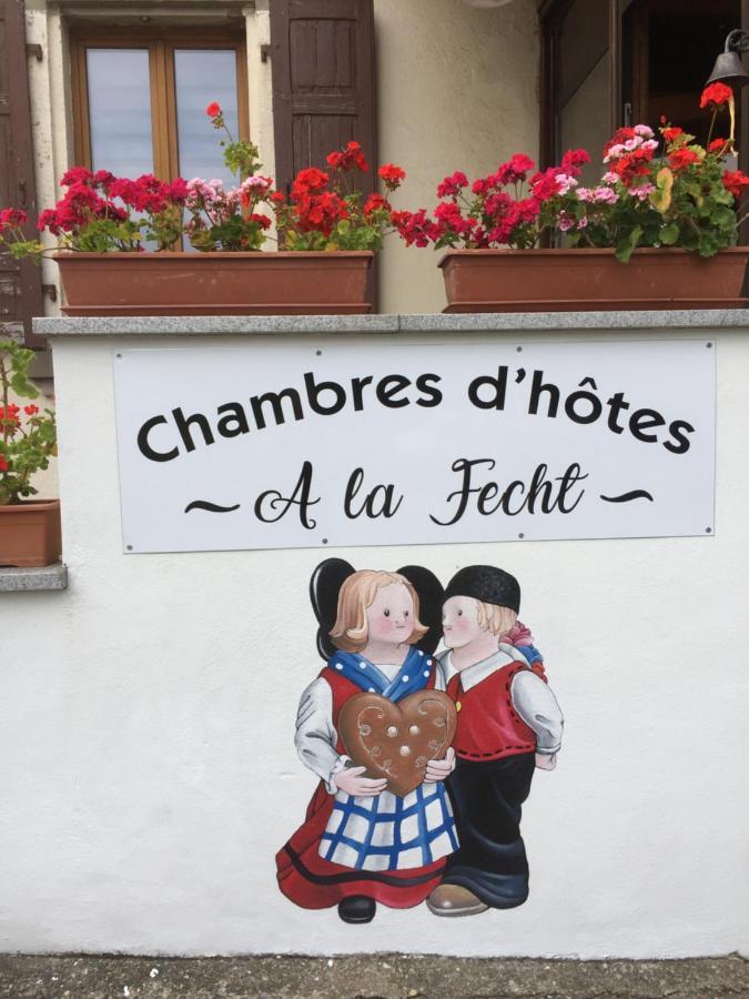 Chambres D'Hotes A La Fecht Nature Et Bien-Etre Sondernach Buitenkant foto